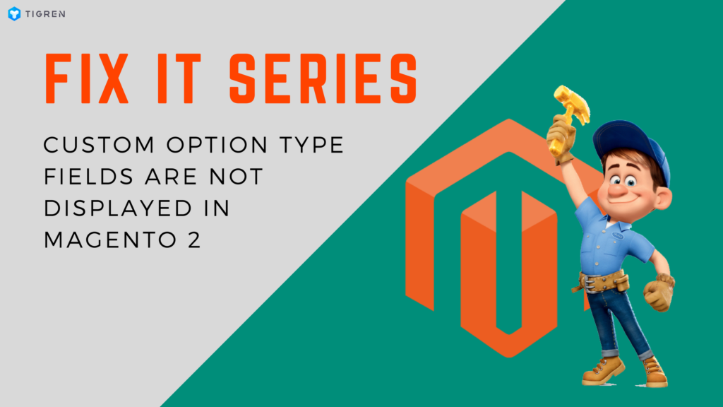 magento Custom Option Type Fields Are Not Displayed error