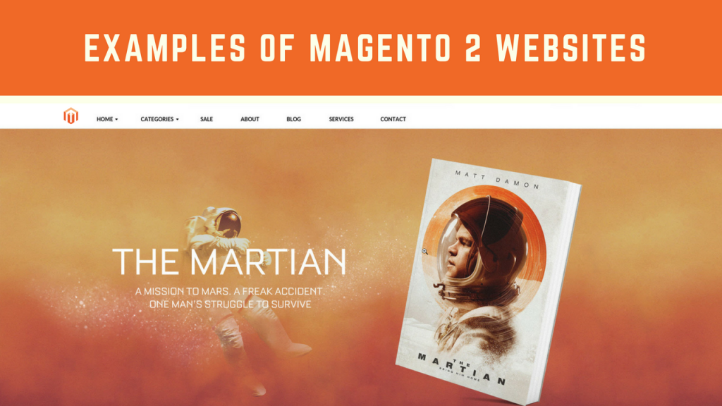 examples of magento 2 development websites