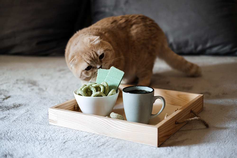 pet products