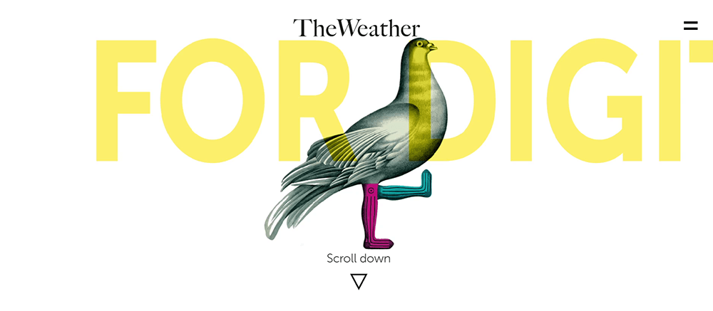 The Weather, web design services, website development