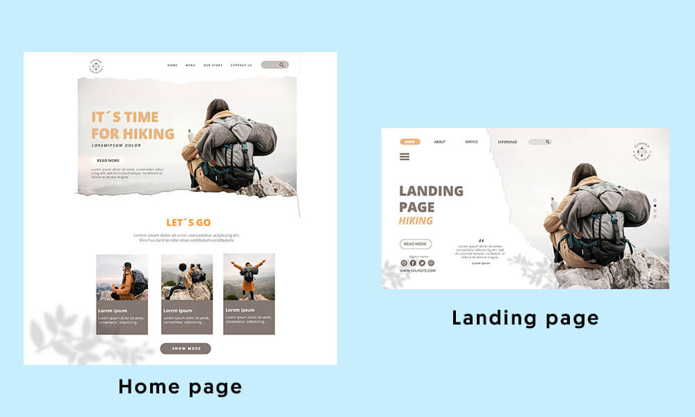 landing page vs home page