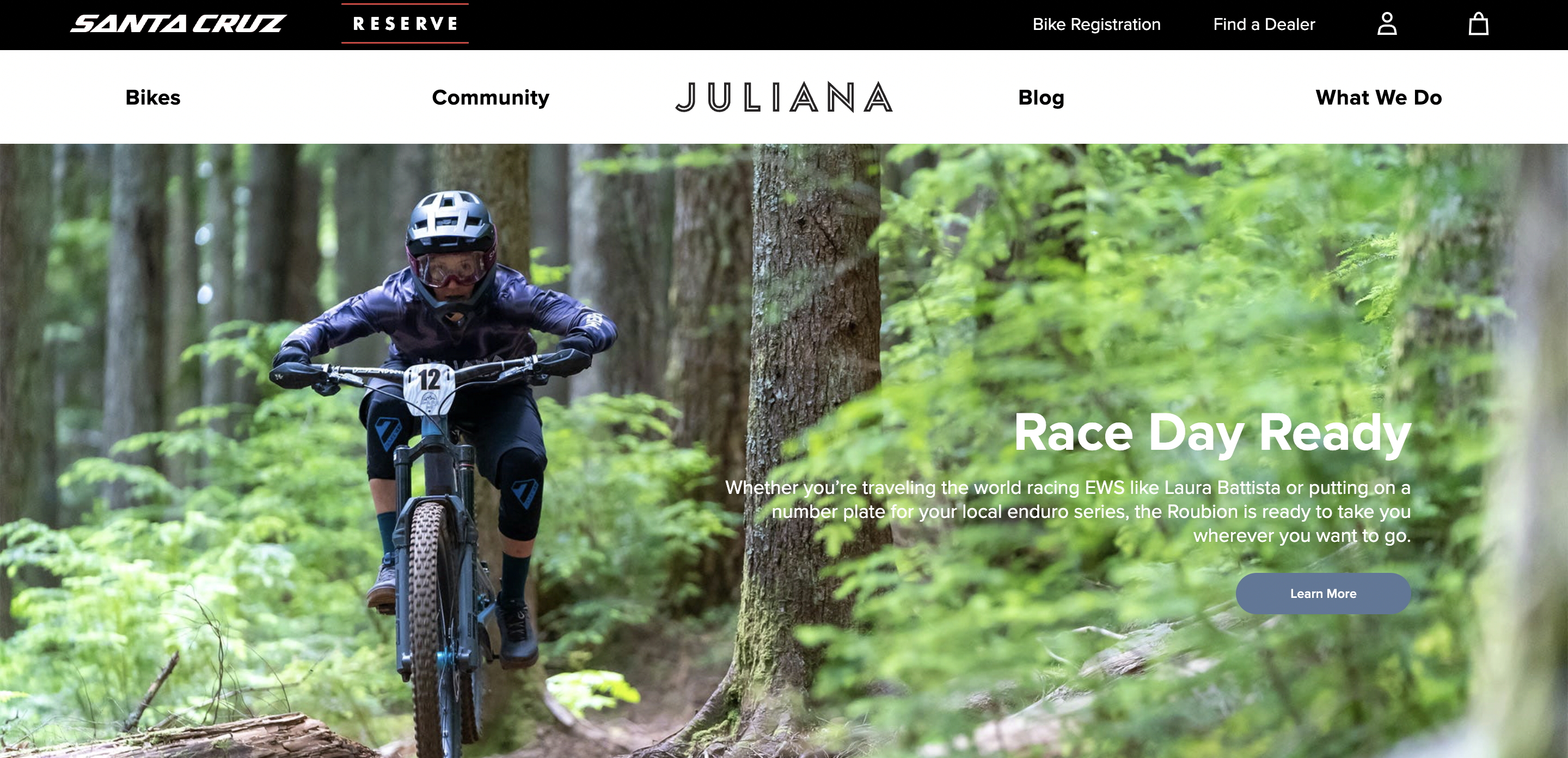 best ecommerce website design examples