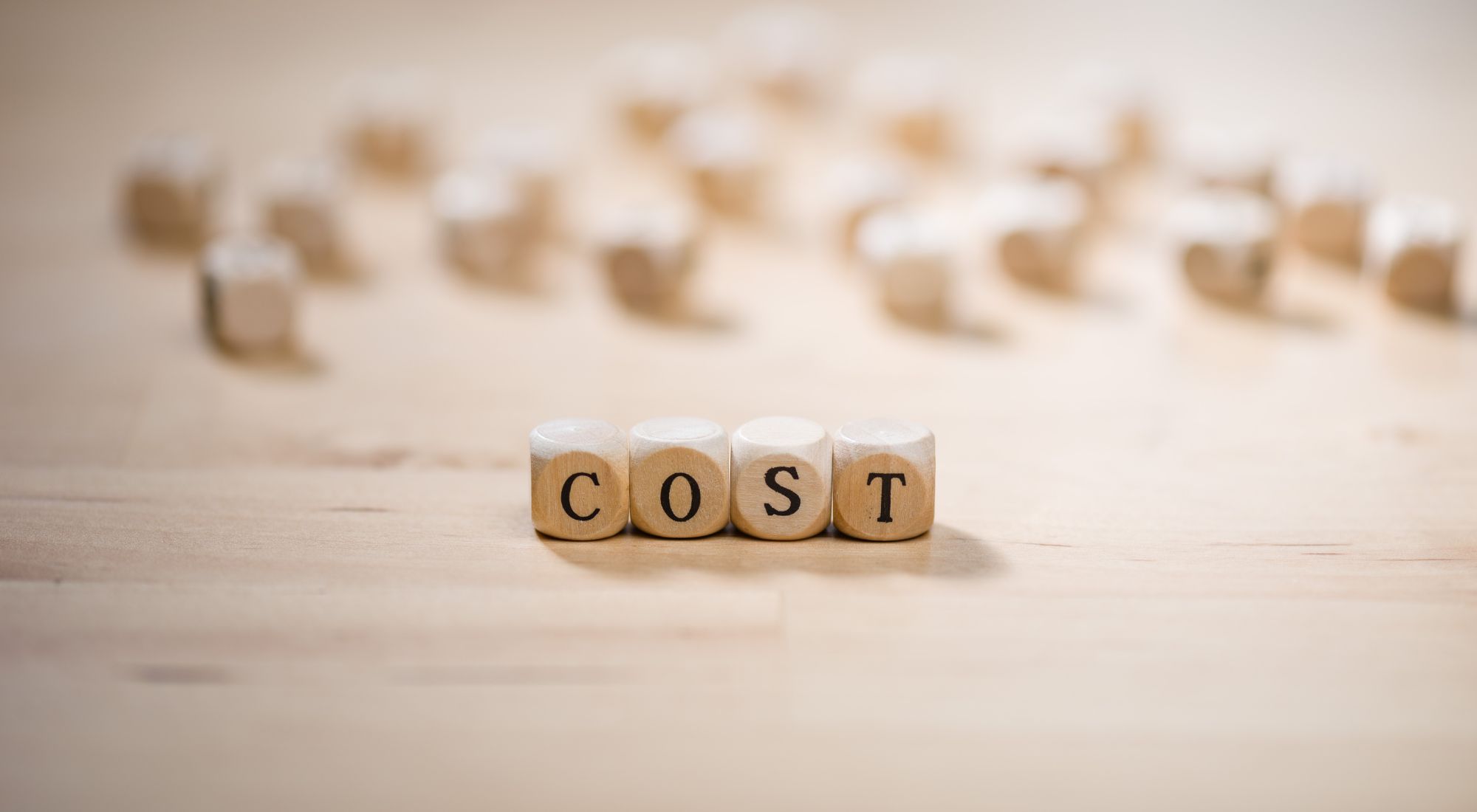 magento b2b cost