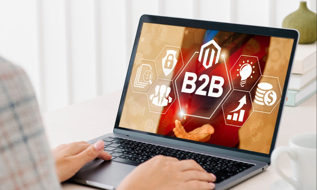 magento b2b features