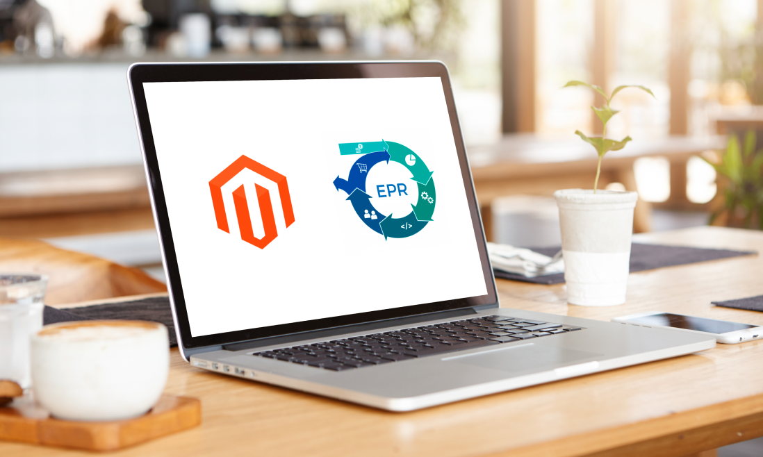 magento erp integration