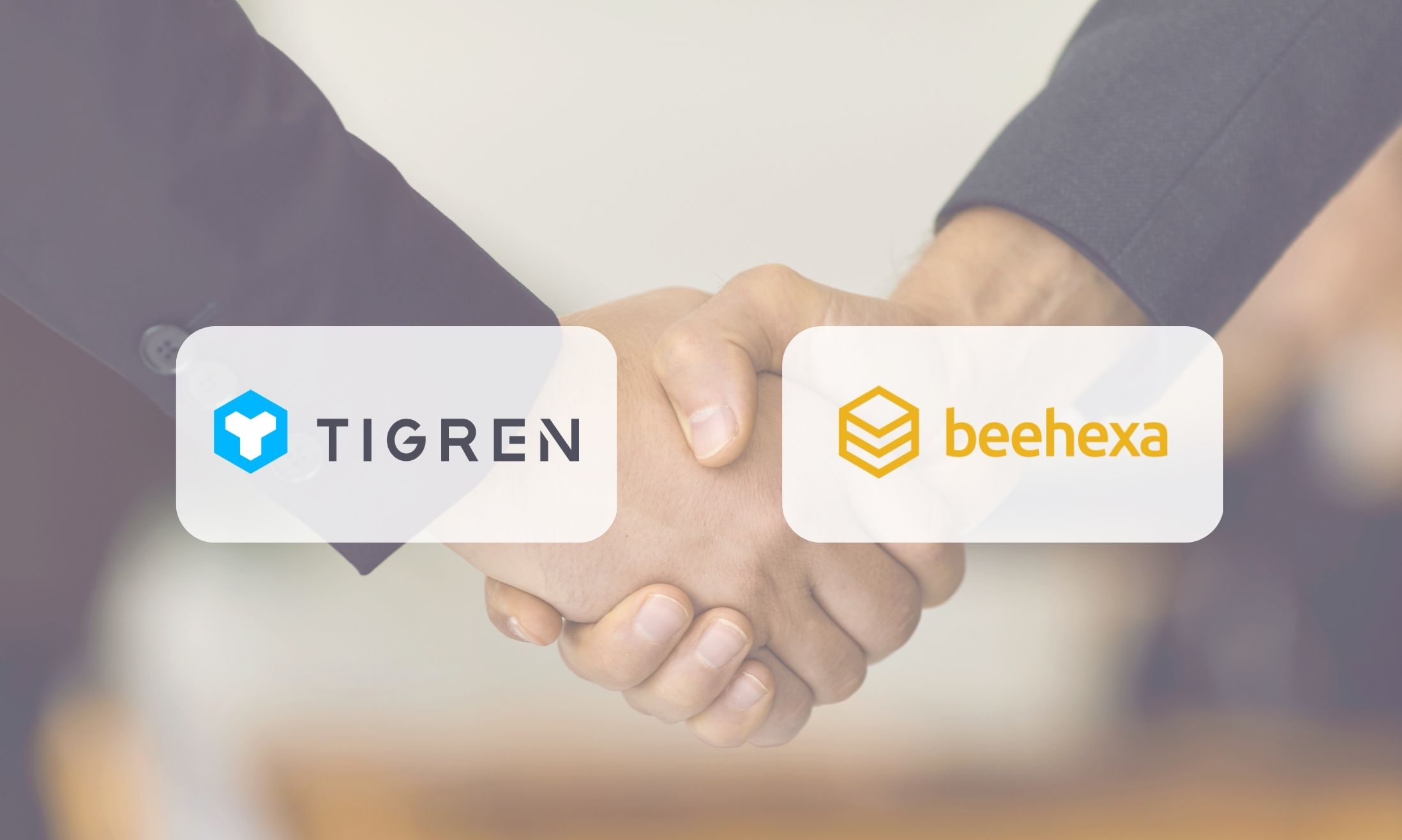 tigren and beehexa partnership